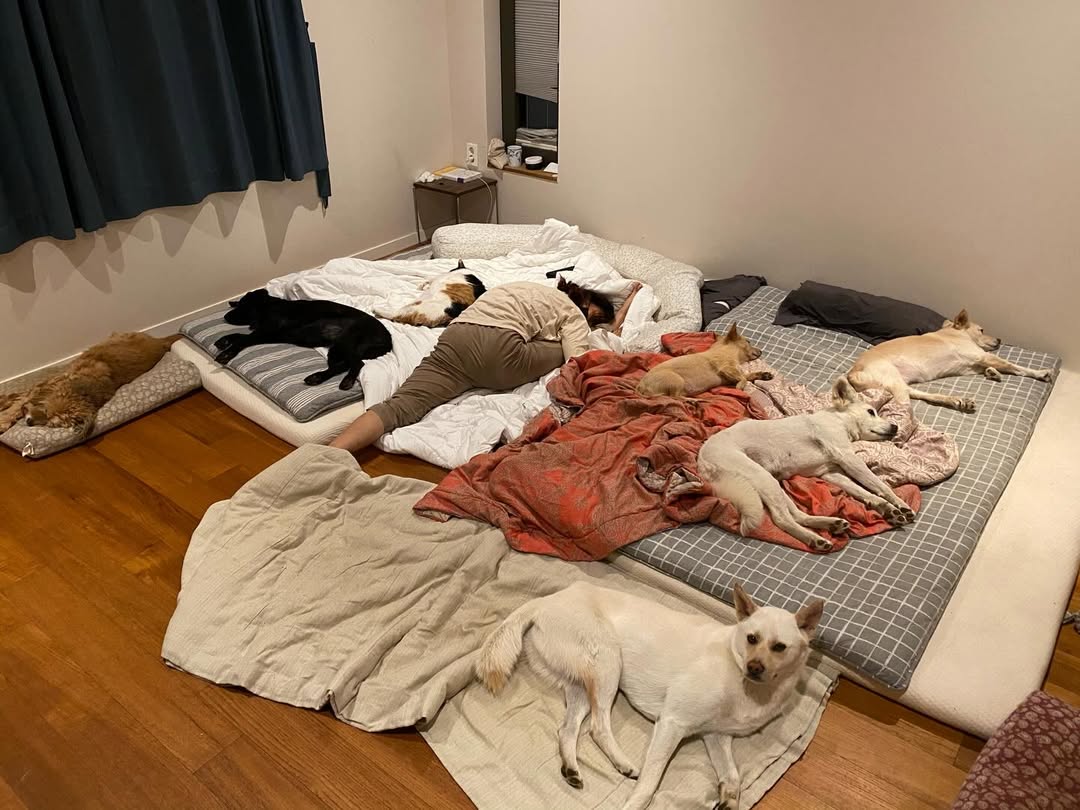 Lee Hyori đã làm gì mà bị dân mạng tấn công?- Ảnh 4.