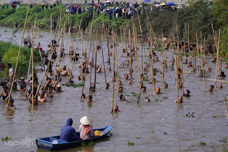 Trai tráng xứ Đoài xuống sông dập sào bắt cá 3 Trai tráng xứ Đoài xuống sông 'dập sào bắt cá' - 2