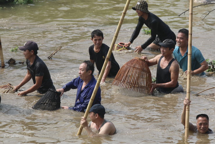 Trai tráng xứ Đoài xuống sông dập sào bắt cá 5 Trai tráng xứ Đoài xuống sông 'dập sào bắt cá' - 4