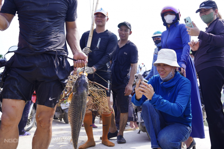 Trai tráng xứ Đoài xuống sông dập sào bắt cá 9 Trai tráng xứ Đoài xuống sông 'dập sào bắt cá' - 8