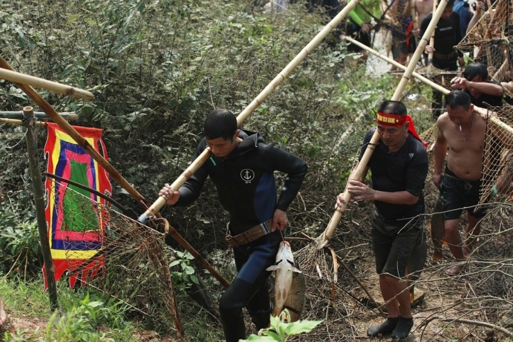 Trai tráng xứ Đoài xuống sông dập sào bắt cá 10 Trai tráng xứ Đoài xuống sông 'dập sào bắt cá' - 9