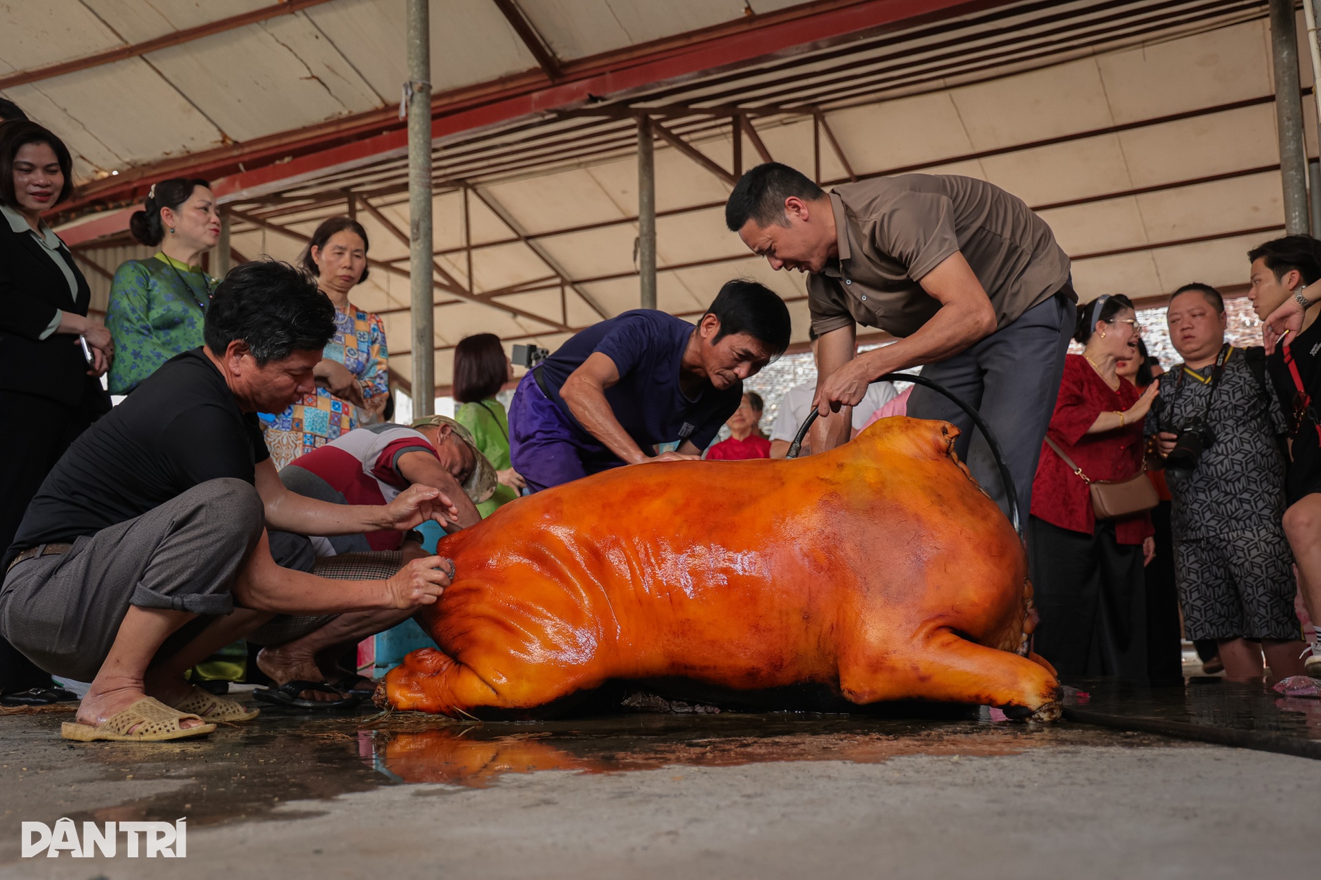 Về Ước Lễ nhuyễn tay giã giò, thui bê trăm cân ăn “Tết lại” - 10 Về Ước Lễ nhuyễn tay giã giò, thui bê trăm cân ăn “Tết lại” - 10
