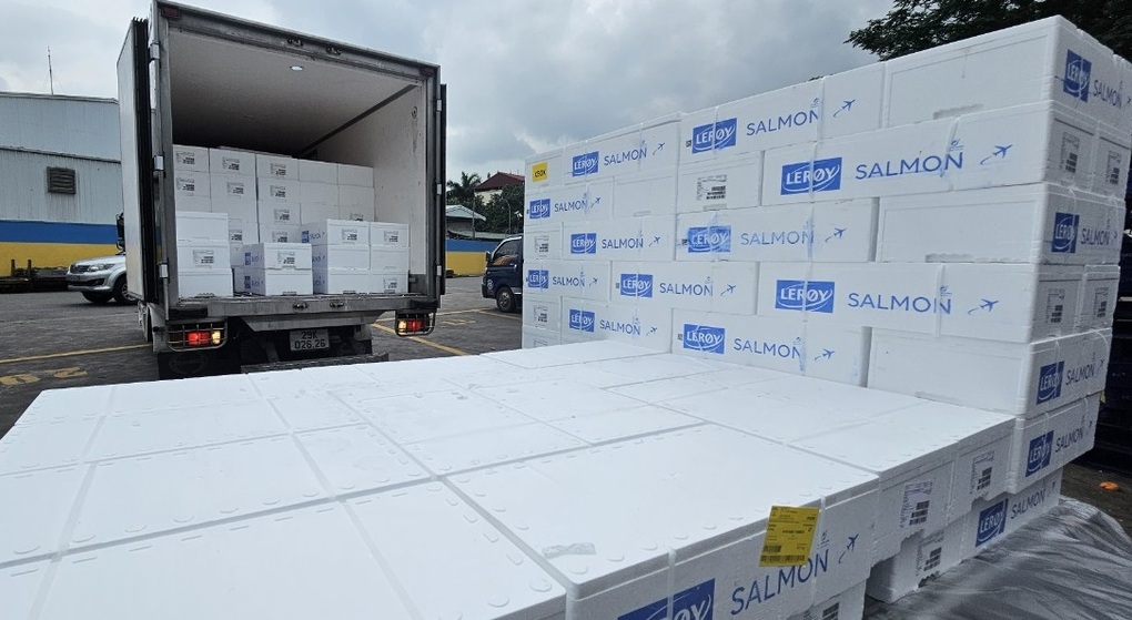 Cá hồi Na Uy kẹt đường bay Trung Đông, nguy cơ đứt hàng tại Việt Nam - 2
