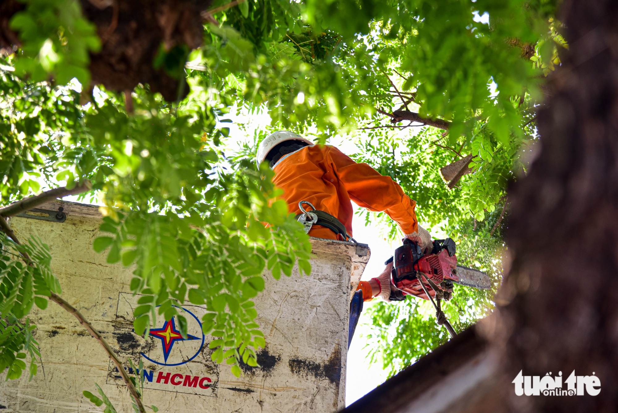 Đảm bảo lưới điện an toàn, sẵn sàng ứng trực phục vụ bầu cử đại biểu Quốc hội, đại biểu HĐND 2 Đảm bảo lưới điện an toàn, sẵn sàng ứng trực phục vụ bầu cử đại biểu Quốc hội, đại biểu HĐND - Ảnh 2.