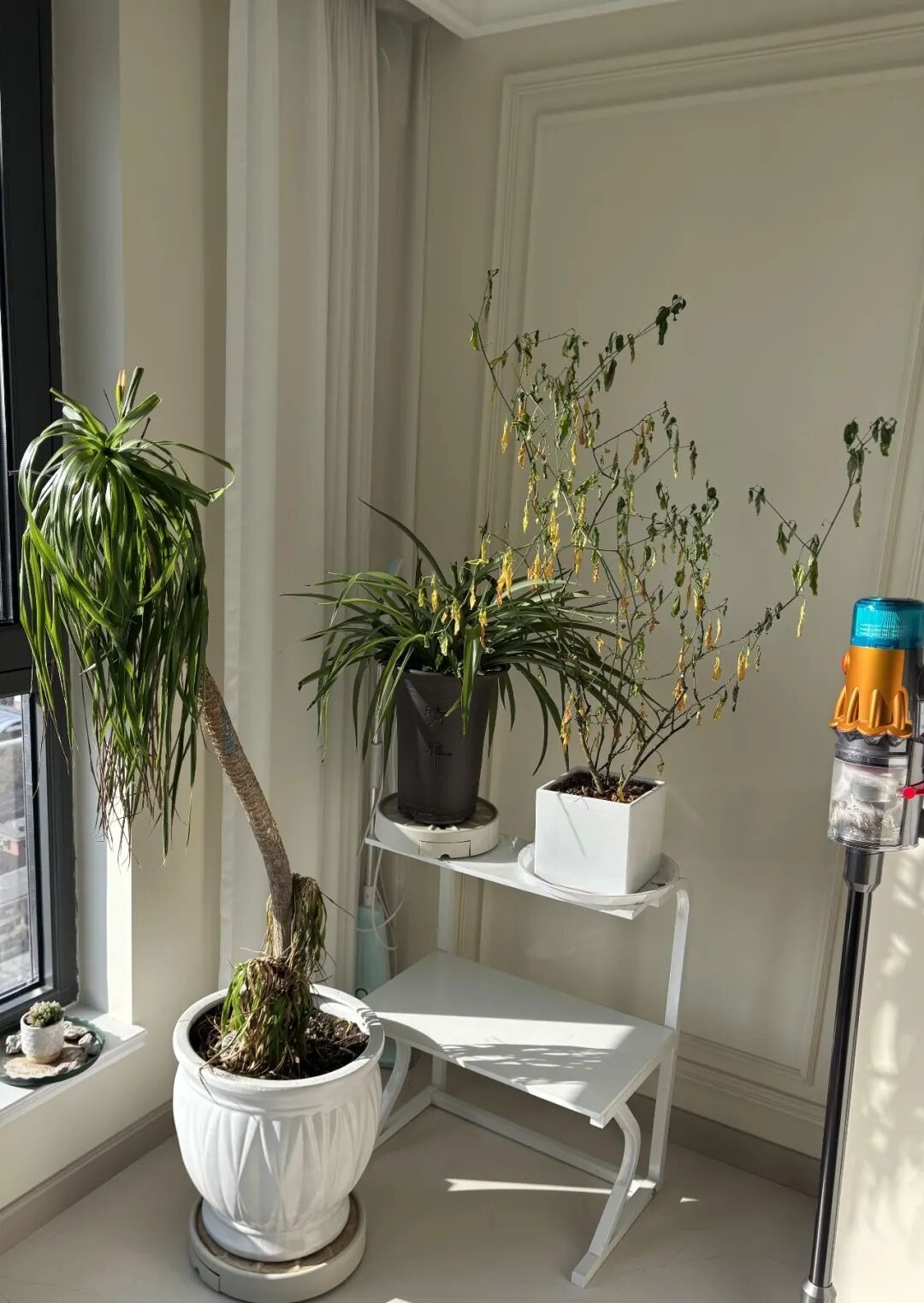 Nói thẳng: Dứt khoát vứt 5 