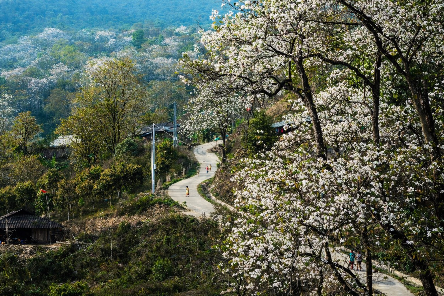 Vừa đầu tháng 3, Vietnam Airlines bất ngờ tăng thêm chuyến bay đến 1 địa điểm phía Bắc vì lý do đặc biệt- Ảnh 2. Vừa đầu tháng 3, Vietnam Airlines bất ngờ tăng thêm chuyến bay đến 1 địa điểm phía Bắc vì lý do đặc biệt- Ảnh 2.