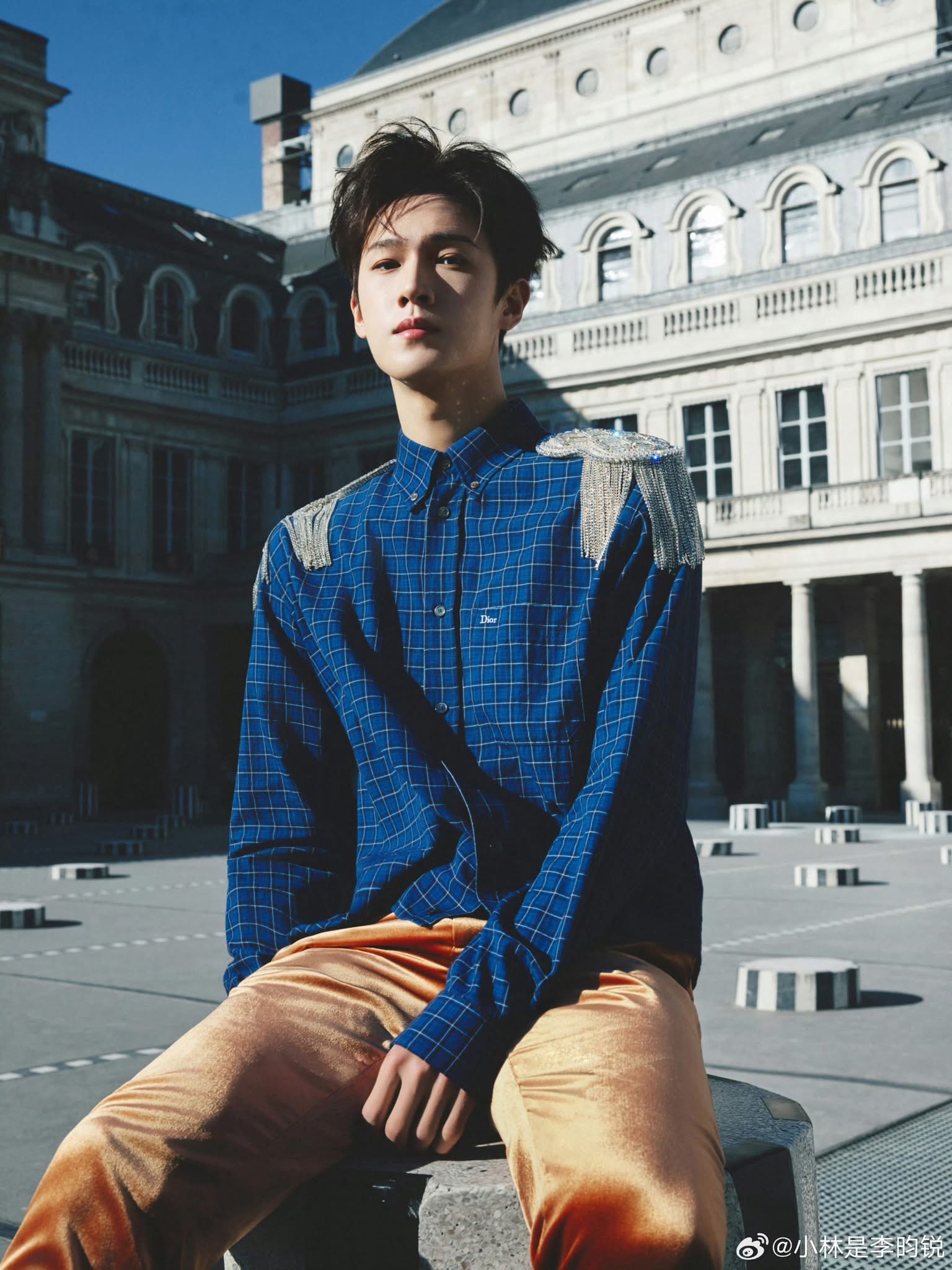 Chỉ thấy sự xinh đẹp của Jisoo tại show Dior- Ảnh 15.