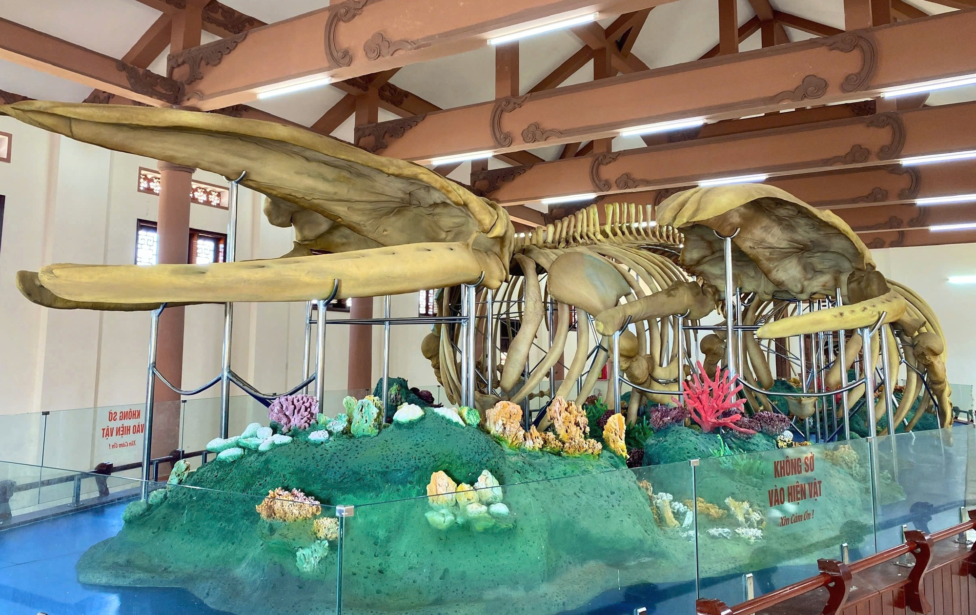 Vật thiêng của làng: Hai bộ xương ‘thần Nam Hải’ trên đảo Lý Sơn- Ảnh 2.