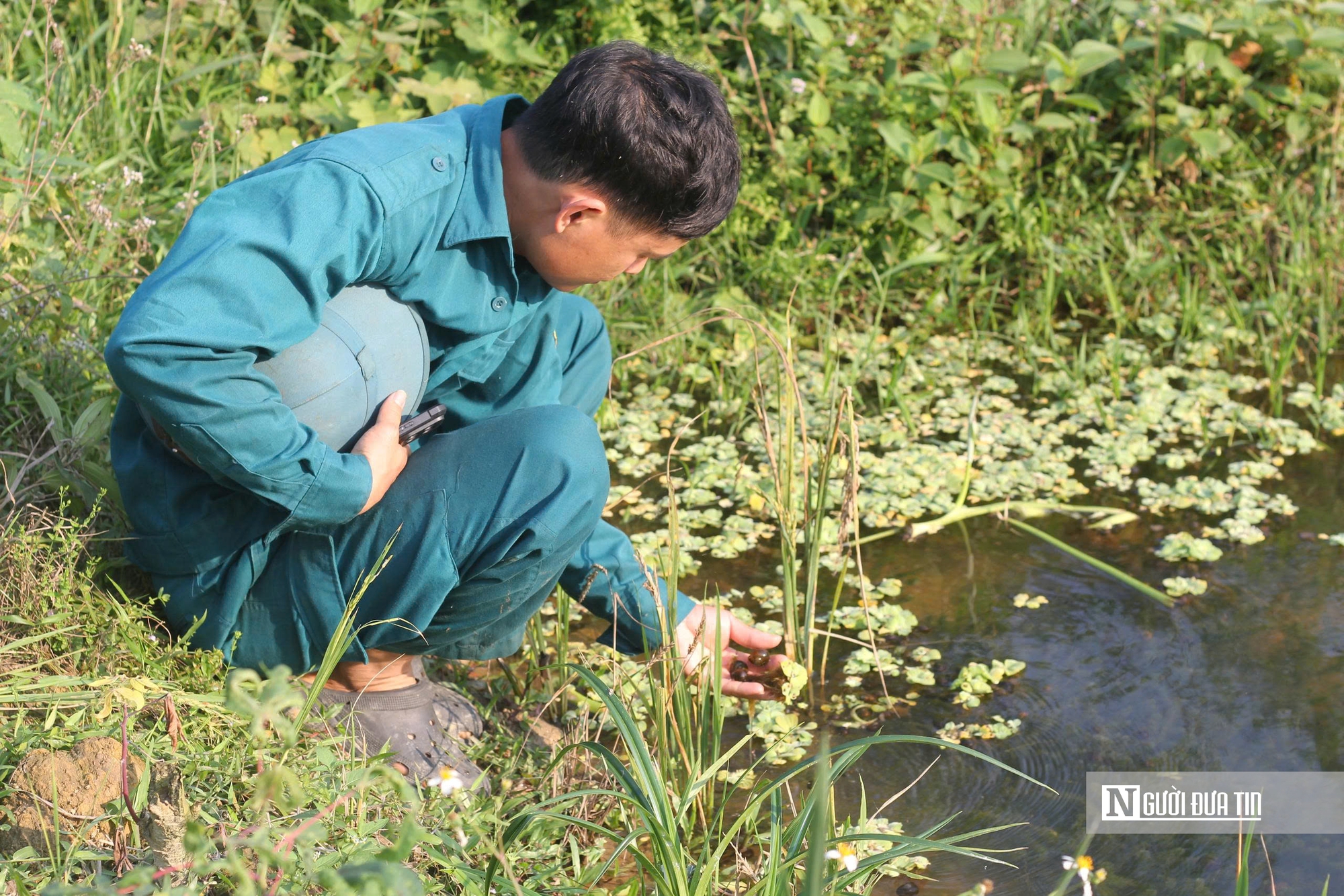 Hà Tĩnh: Nuôi “vàng đen”, nông dân thu tiền triệu mỗi ngày- Ảnh 2.