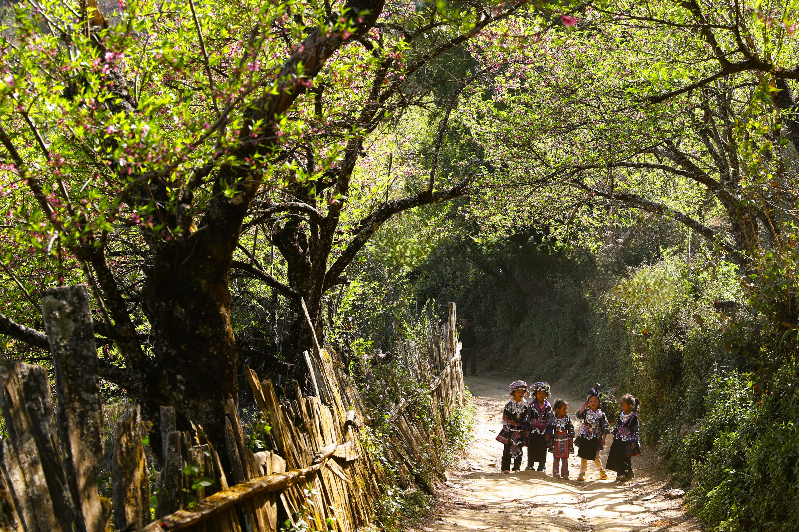 Lùng Cúng - Vùng đất bị... lãng quên? 3 Lùng Cúng - Vùng đất bị... lãng quên? - Ảnh 3.