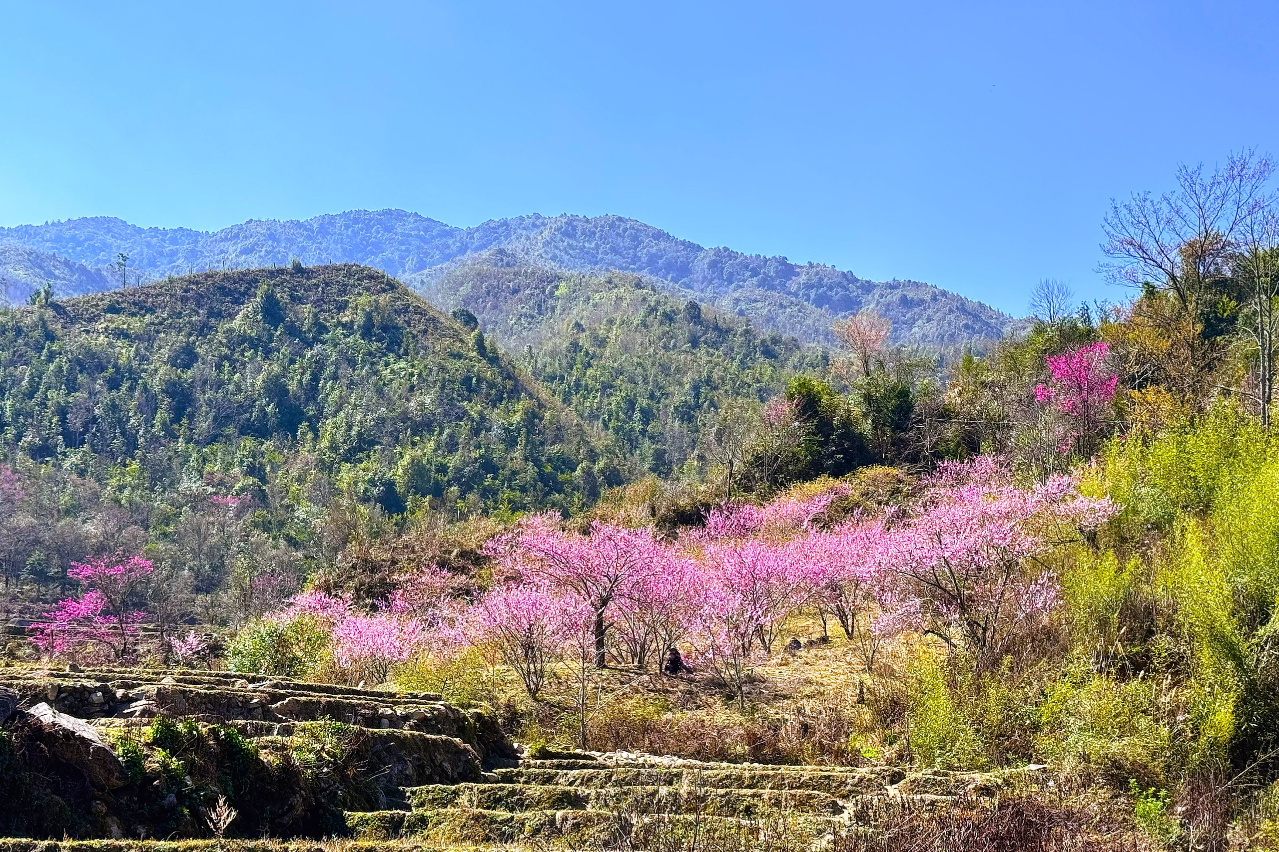 Lùng Cúng - Vùng đất bị... lãng quên? 5 Lùng Cúng - Vùng đất bị... lãng quên? - Ảnh 5.