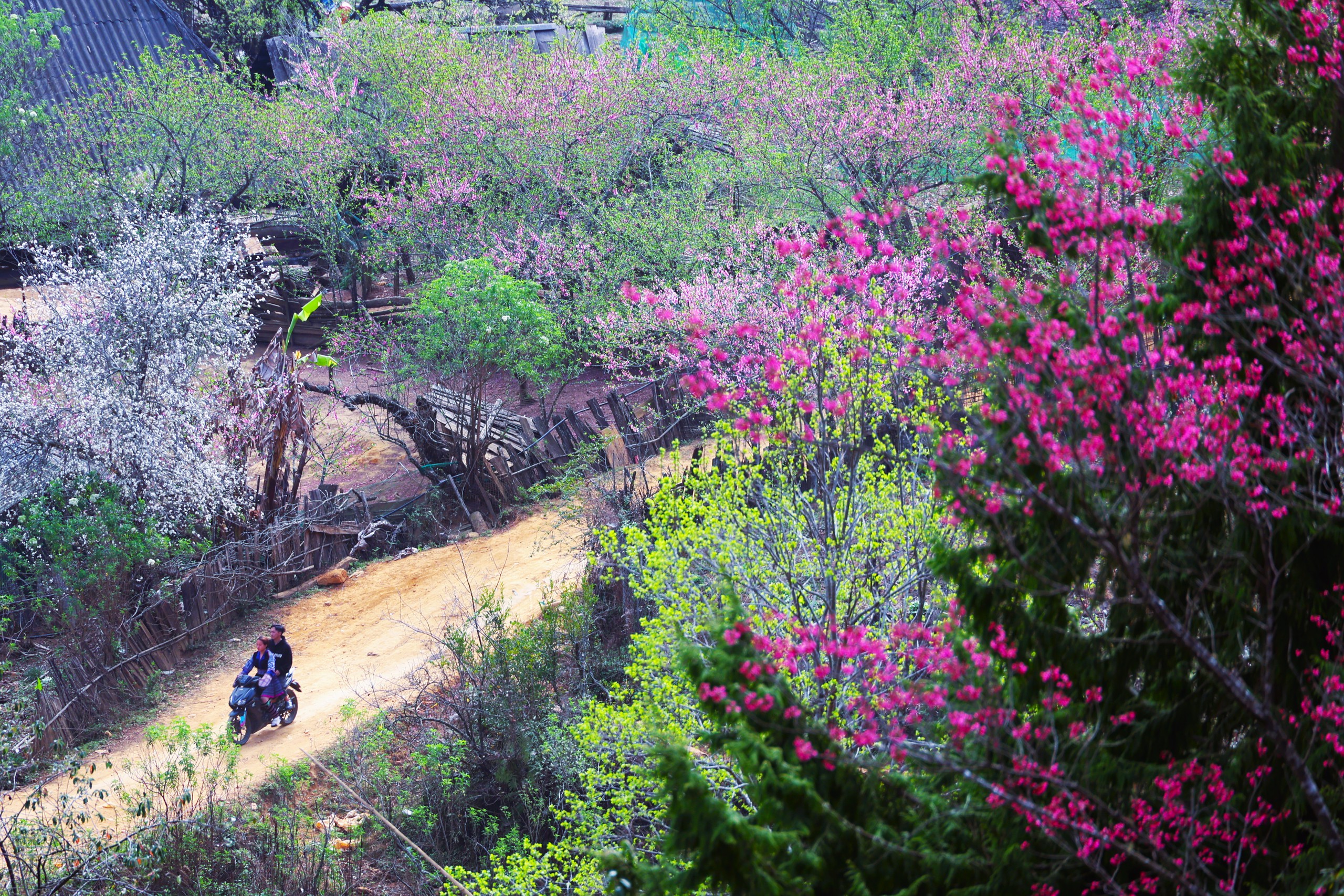 Lùng Cúng - Vùng đất bị... lãng quên? 9 Lùng Cúng - Vùng đất bị... lãng quên? - Ảnh 10.