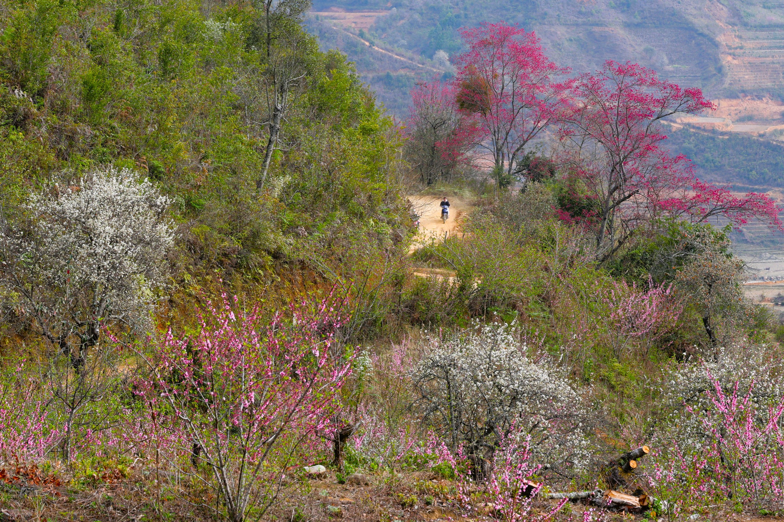 Lùng Cúng - Vùng đất bị... lãng quên? 12 Lùng Cúng - Vùng đất bị... lãng quên? - Ảnh 13.