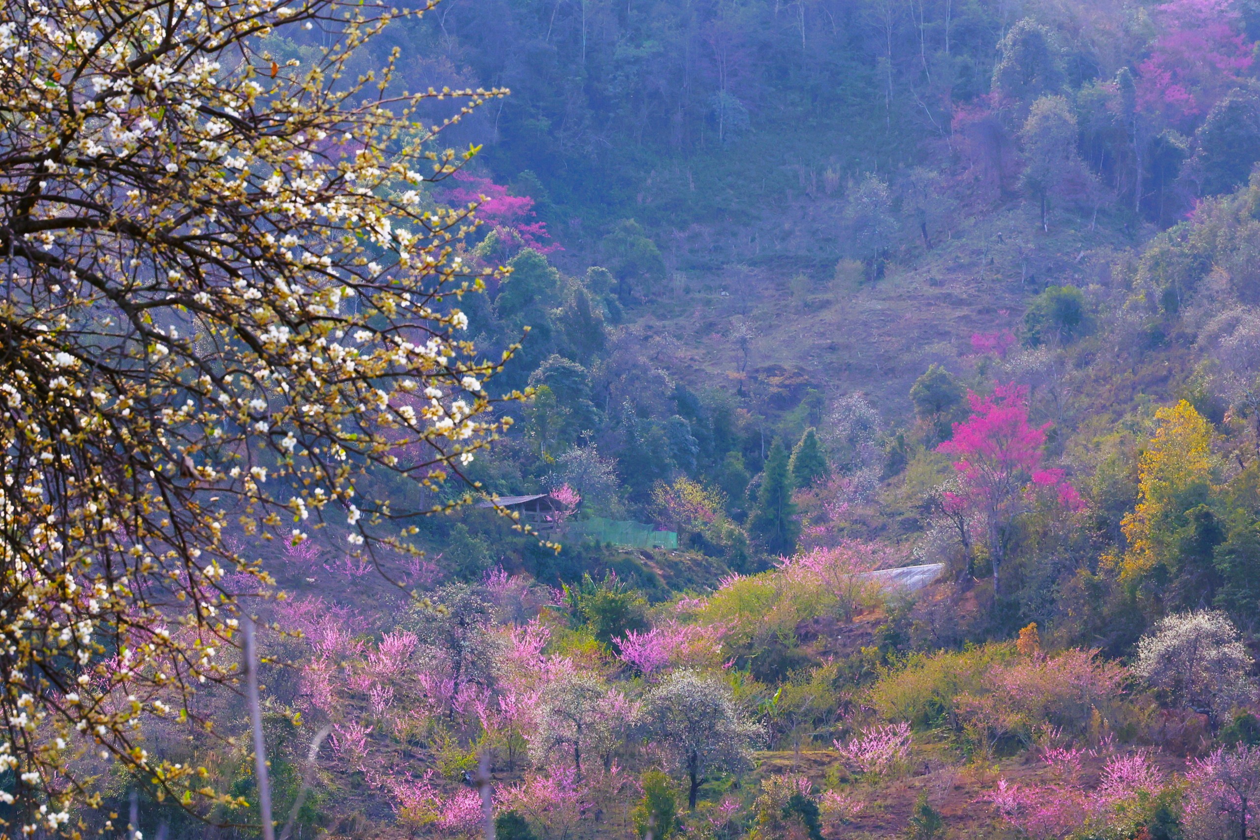 Lùng Cúng - Vùng đất bị... lãng quên? 13 Lùng Cúng - Vùng đất bị... lãng quên? - Ảnh 14.