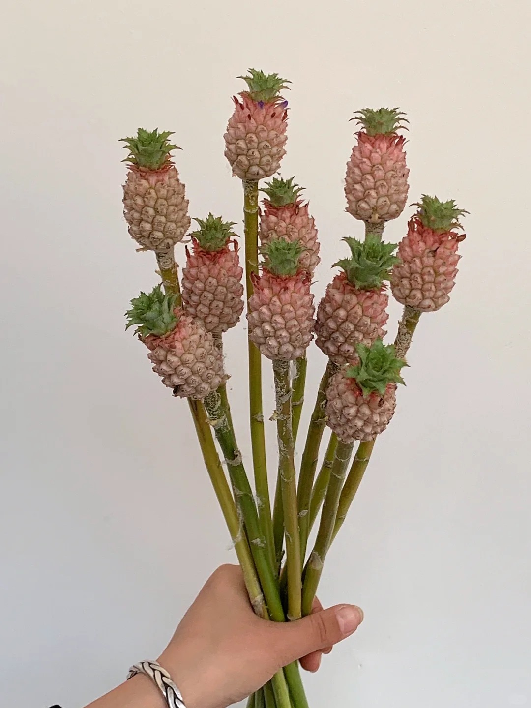 1772604169 721 Thom nuc khong gian chung tan 4 thang khong hong