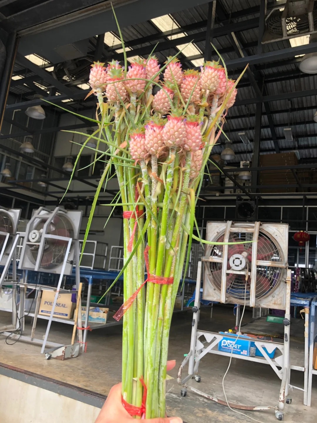 1772604175 782 Thom nuc khong gian chung tan 4 thang khong hong