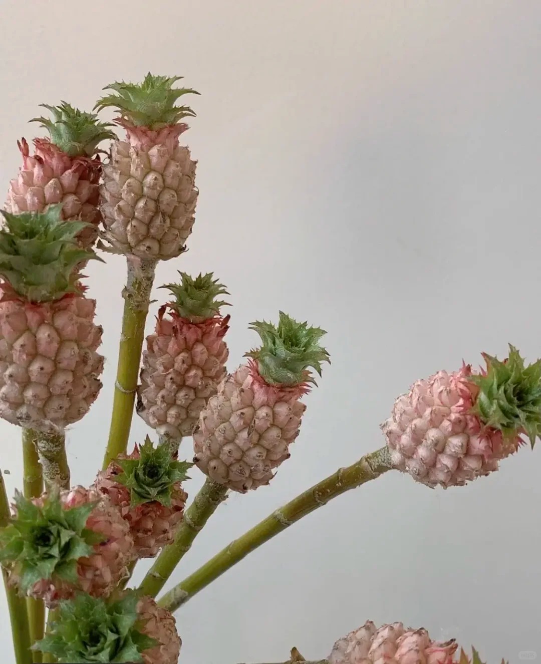 1772604180 362 Thom nuc khong gian chung tan 4 thang khong hong