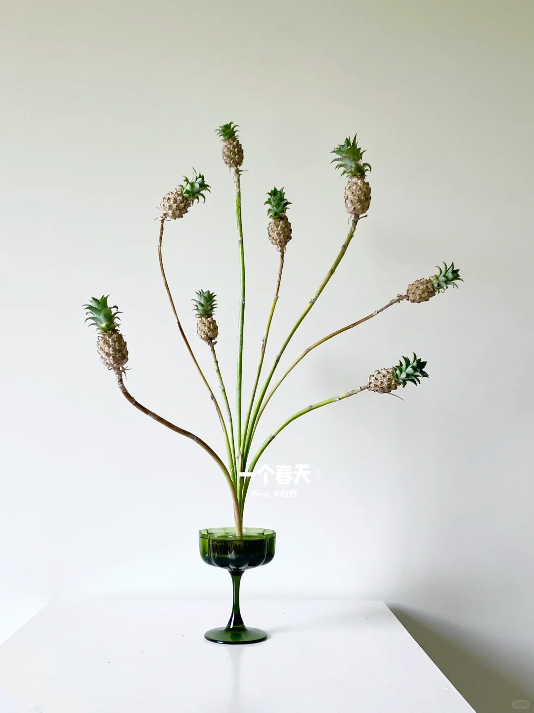 1772604184 514 Thom nuc khong gian chung tan 4 thang khong hong