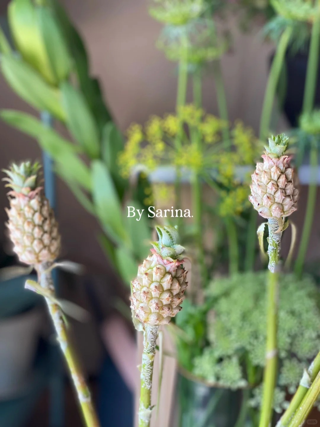 1772604188 79 Thom nuc khong gian chung tan 4 thang khong hong