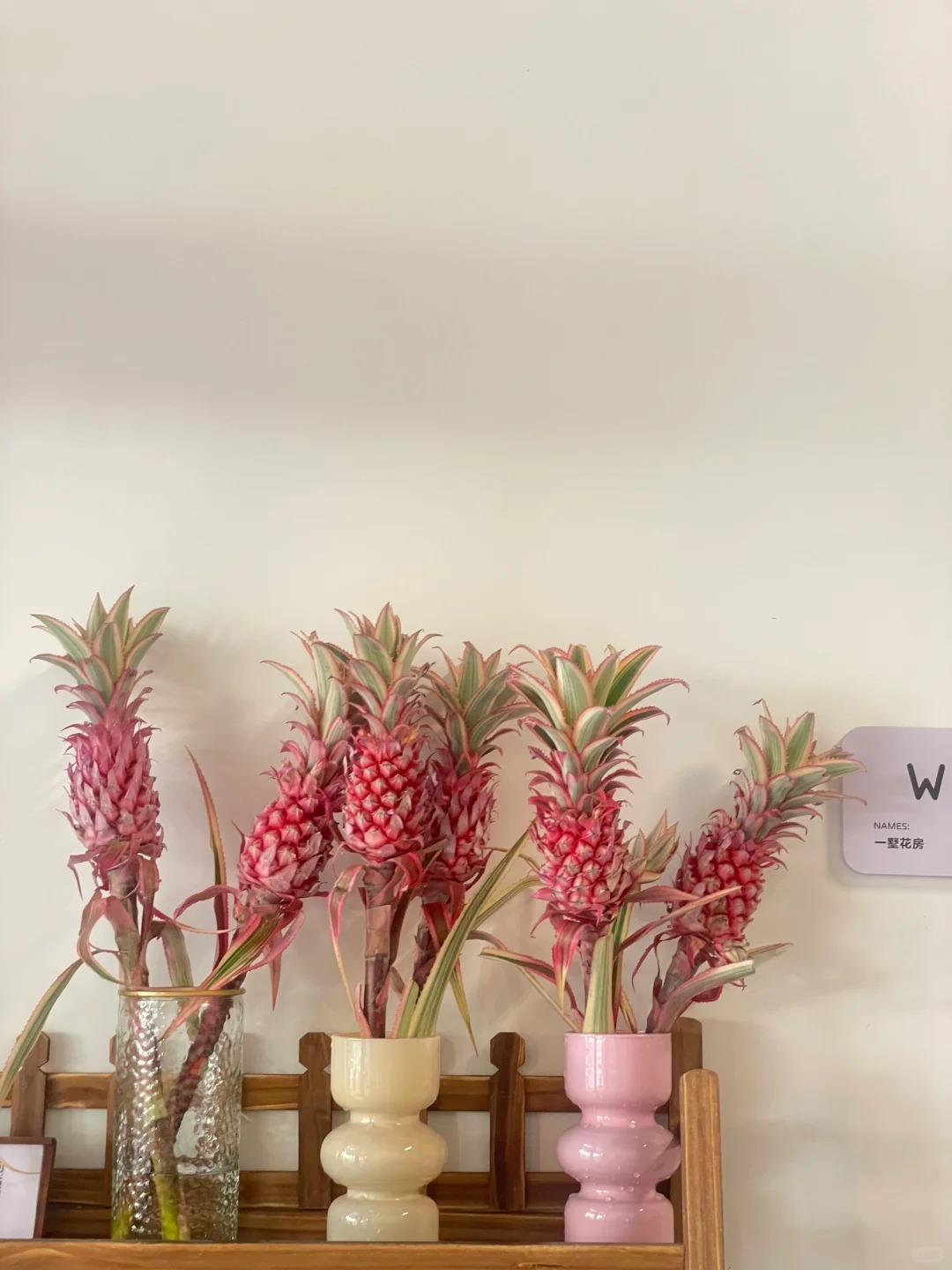 1772604190 503 Thom nuc khong gian chung tan 4 thang khong hong