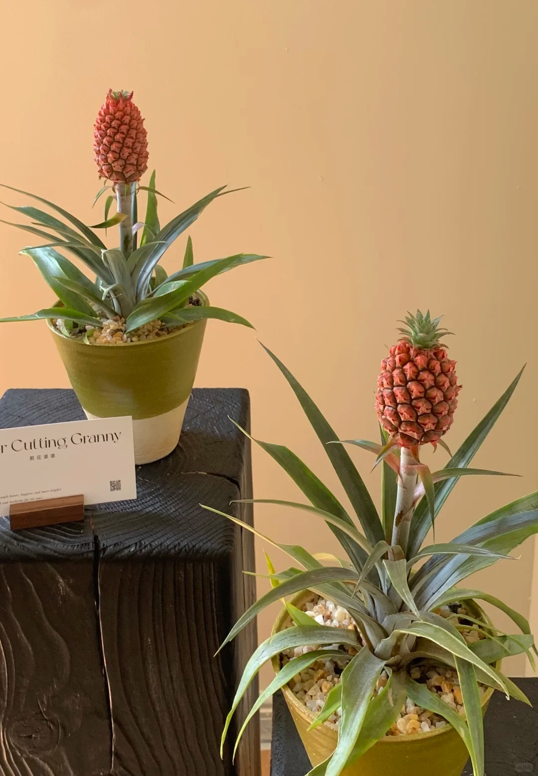 1772604194 692 Thom nuc khong gian chung tan 4 thang khong hong