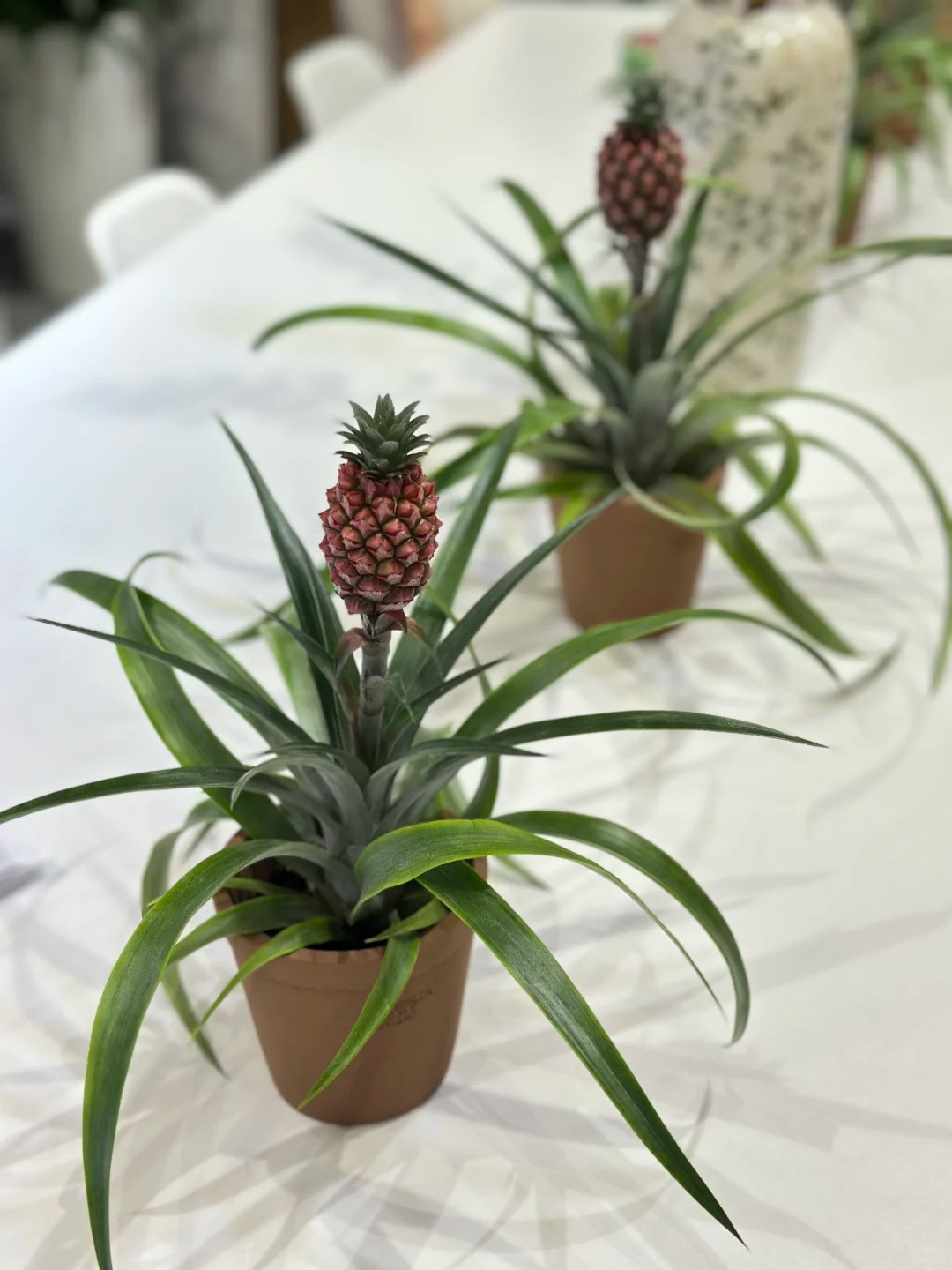 1772604199 382 Thom nuc khong gian chung tan 4 thang khong hong