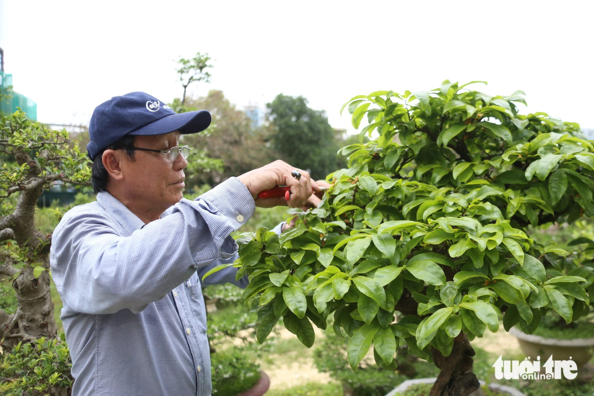 Nhà vườn - Ảnh 2.