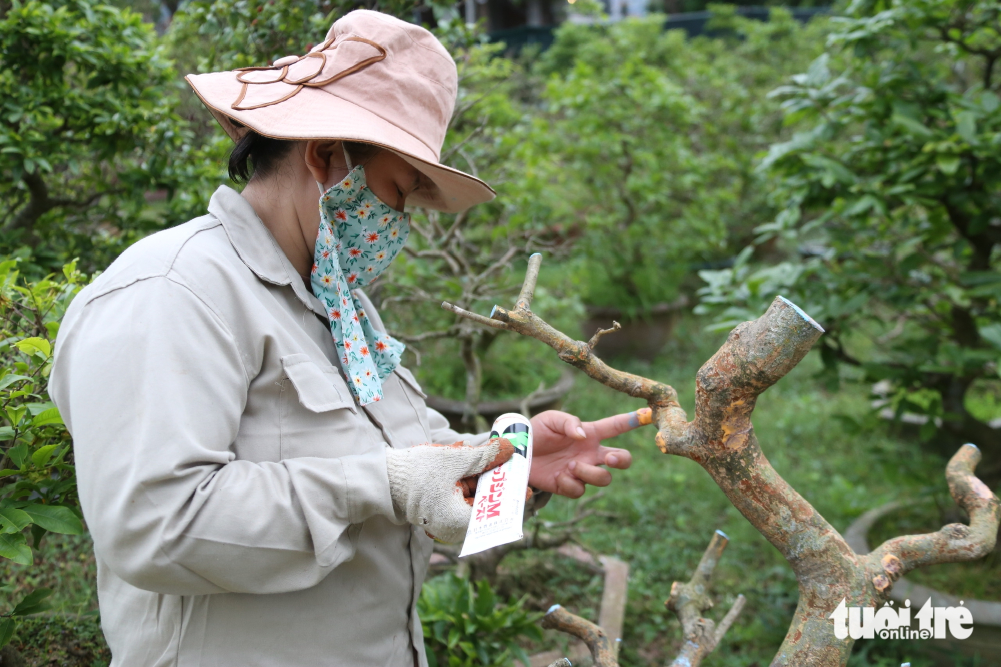 Nhà vườn - Ảnh 3.