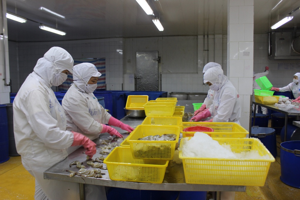 Tòa án Tối cao Mỹ bác thuế đối ứng: Doanh nghiệp Việt cần lưu ý gì? - 3