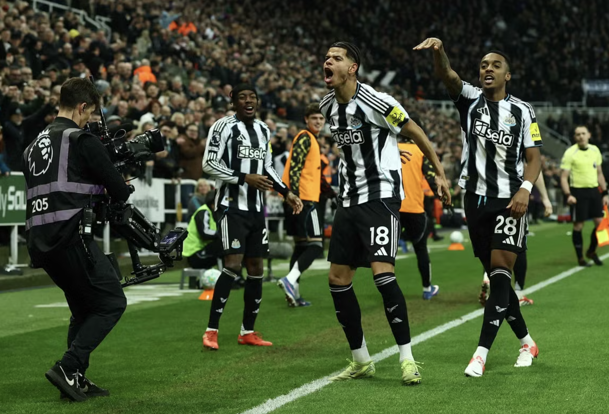 Siêu phẩm của Osula nhấn chìm 