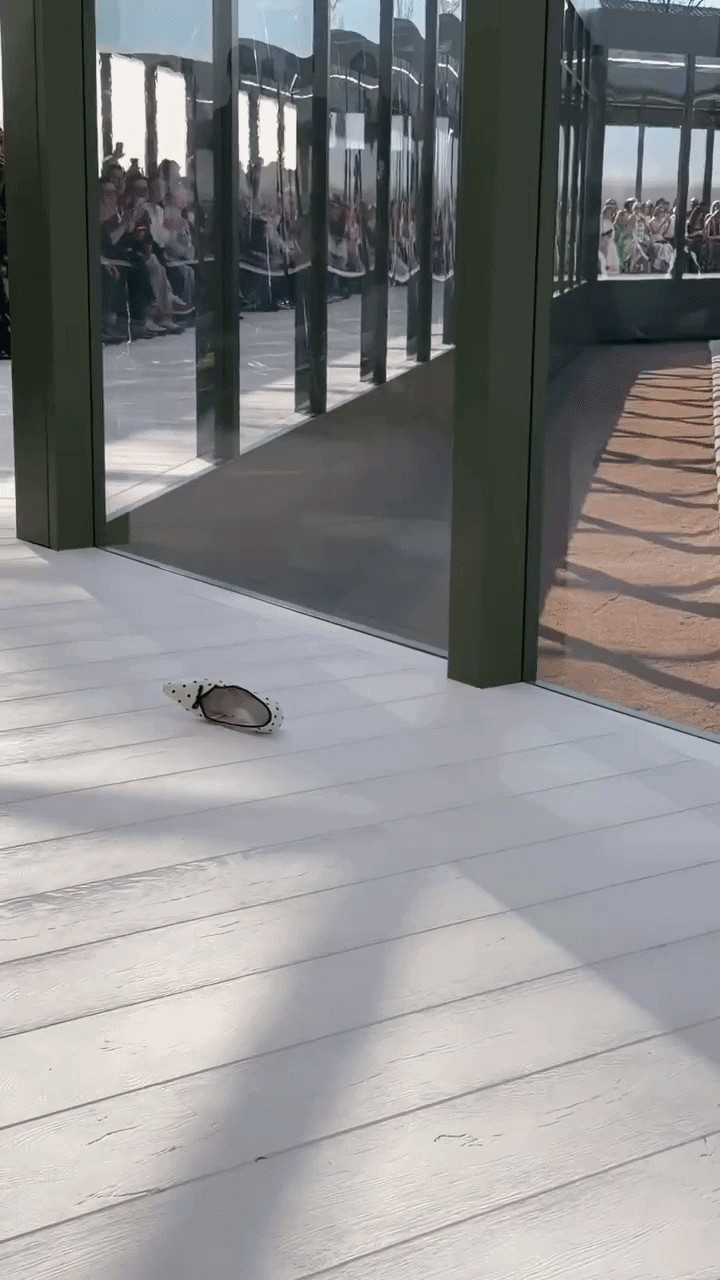 Chuyện Lọ Lem rơi giày ở chính show Dior: Dân mạng thế giới đòi mua gấp, viral ngay và luôn!- Ảnh 2.