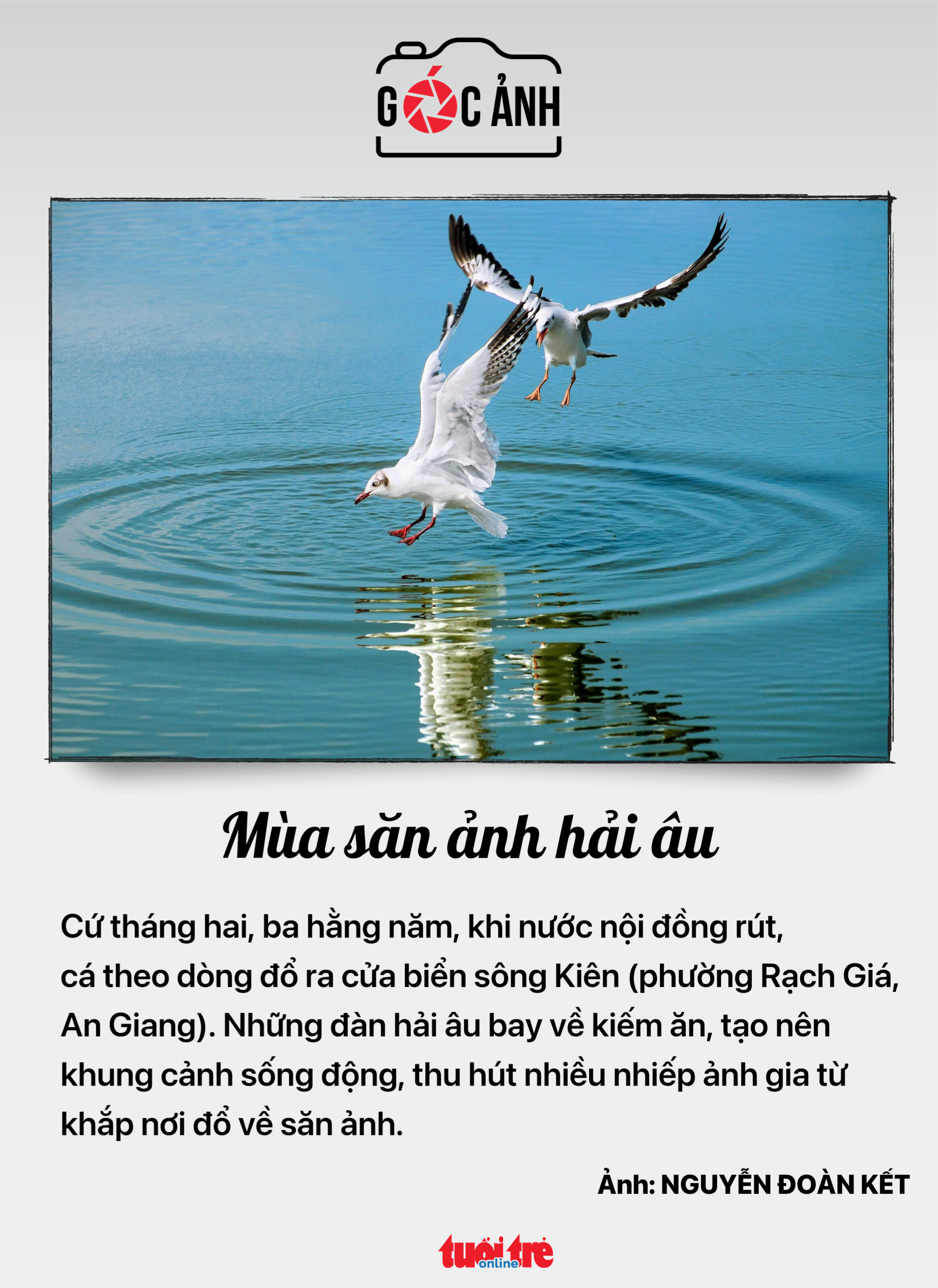 Tin tức sáng 5-3: Thu ngân sách 2 tháng đầu năm vượt 600.000 tỉ đồng 5 tin tức - Ảnh 6.