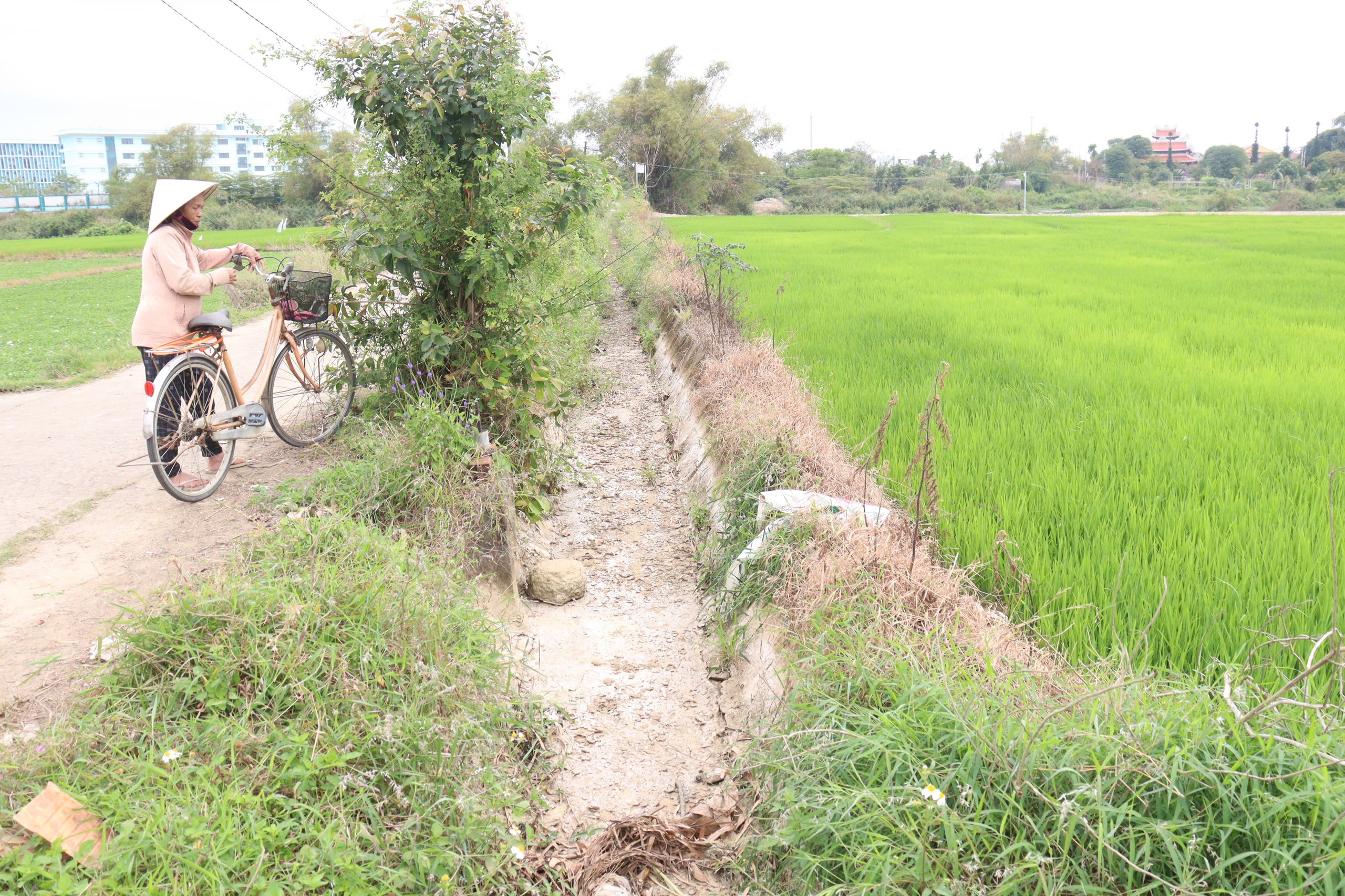 Nông dân Đà Nẵng Nông dân Đà Nẵng
