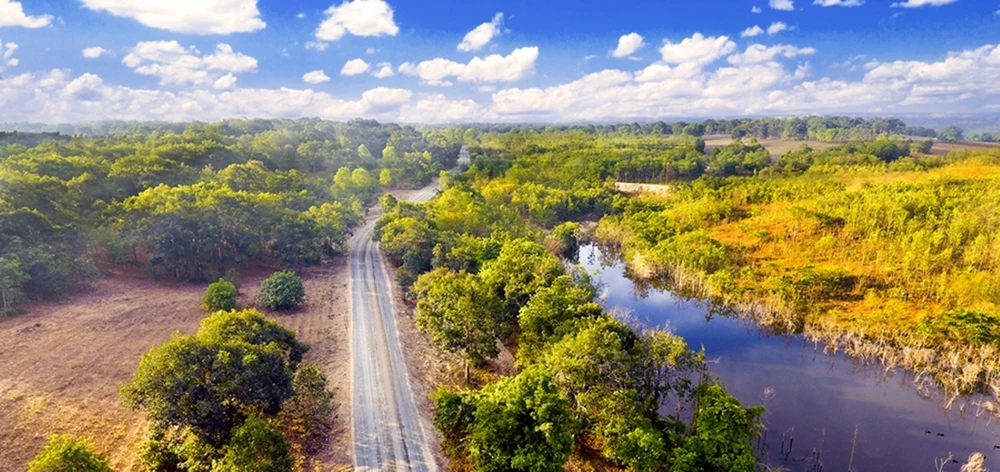 rung-dau-hong-liem (3).jpg