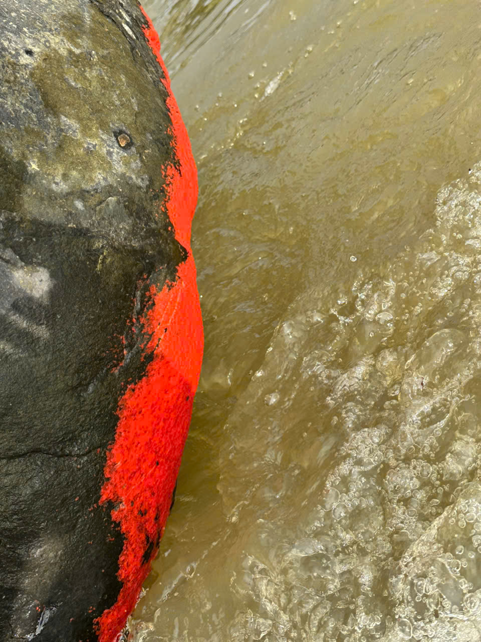 Độc lạ tảng đá nổi màu đỏ rực giống 'nở hoa' ở Đà Nẵng - Ảnh 3.