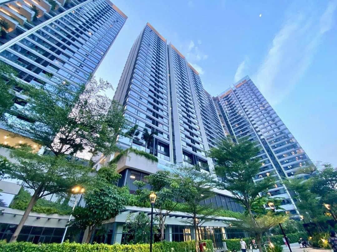 Người dân đặc biệt quan tâm đến việc cấp sổ hồng- Ảnh 3.