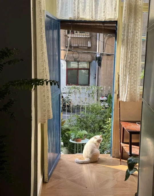 Cụ bà 73 tuổi không phiền con cháu, già đi lặng lẽ trong căn nhà cũ ở quê: Cuộc sống dịu dàng, chữa lành đến lạ- Ảnh 2.