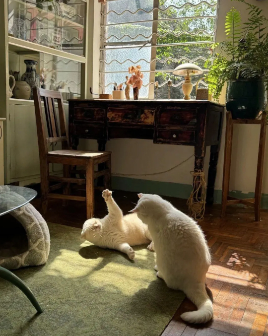 Cụ bà 73 tuổi không phiền con cháu, già đi lặng lẽ trong căn nhà cũ ở quê: Cuộc sống dịu dàng, chữa lành đến lạ- Ảnh 5.