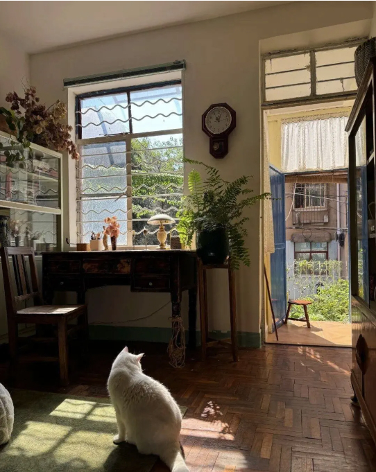 Cụ bà 73 tuổi không phiền con cháu, già đi lặng lẽ trong căn nhà cũ ở quê: Cuộc sống dịu dàng, chữa lành đến lạ- Ảnh 10.