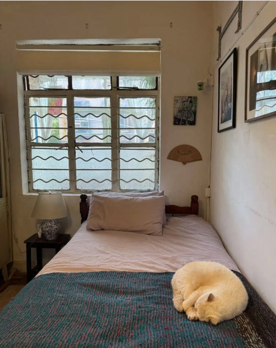 Cụ bà 73 tuổi không phiền con cháu, già đi lặng lẽ trong căn nhà cũ ở quê: Cuộc sống dịu dàng, chữa lành đến lạ- Ảnh 12.