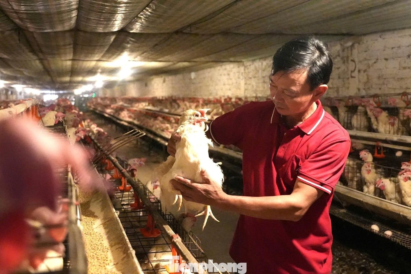 Khởi nghiệp với 5 triệu đồng, anh chủ thu về hàng chục tỷ đồng từ một loài 