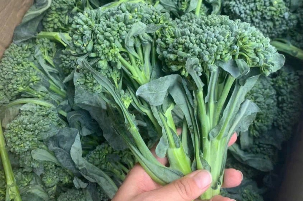 3 loại rau giá rẻ nên ăn nhiều hơn để gan khỏe mạnh - 2