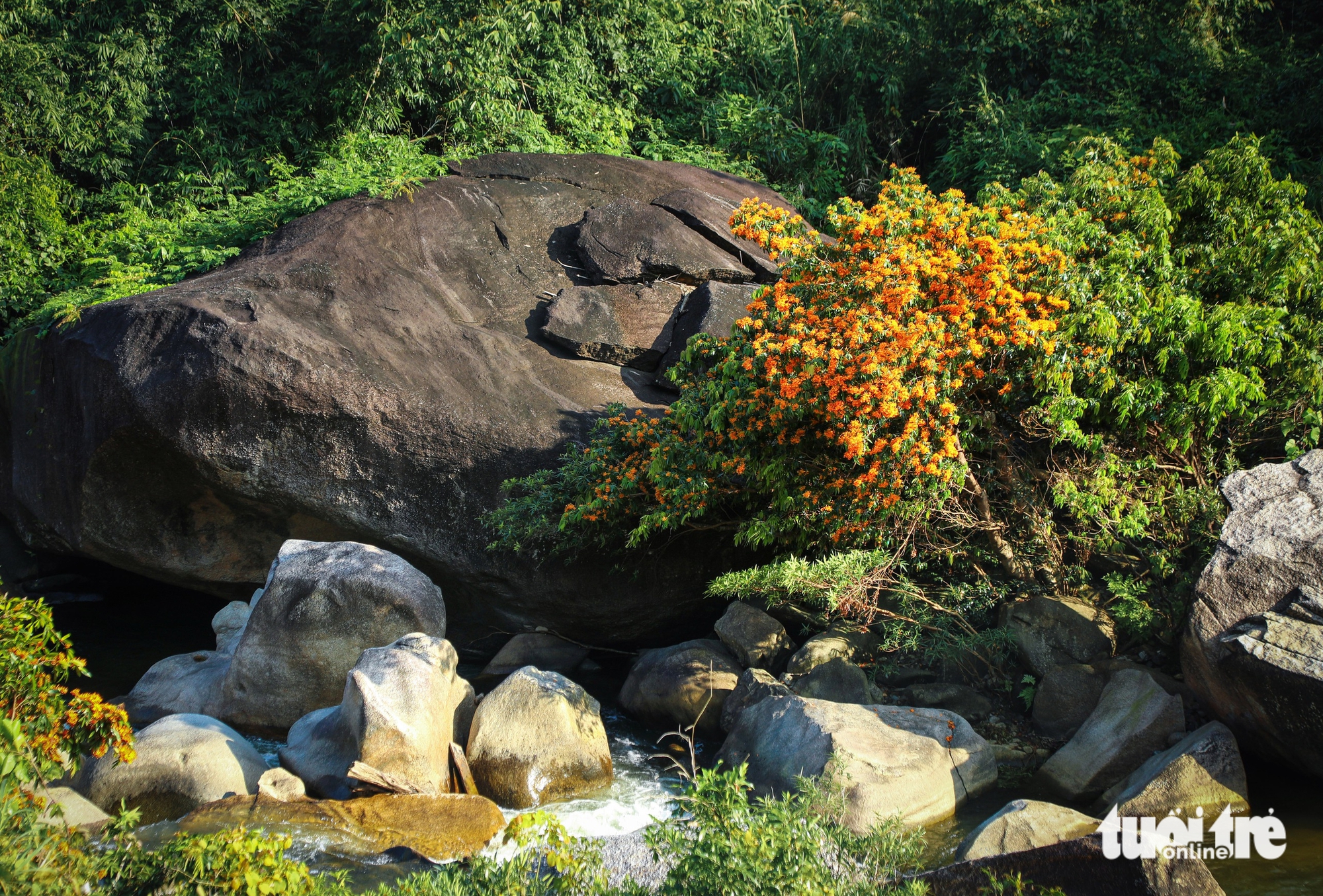 Đà Nẵng - Ảnh 8.