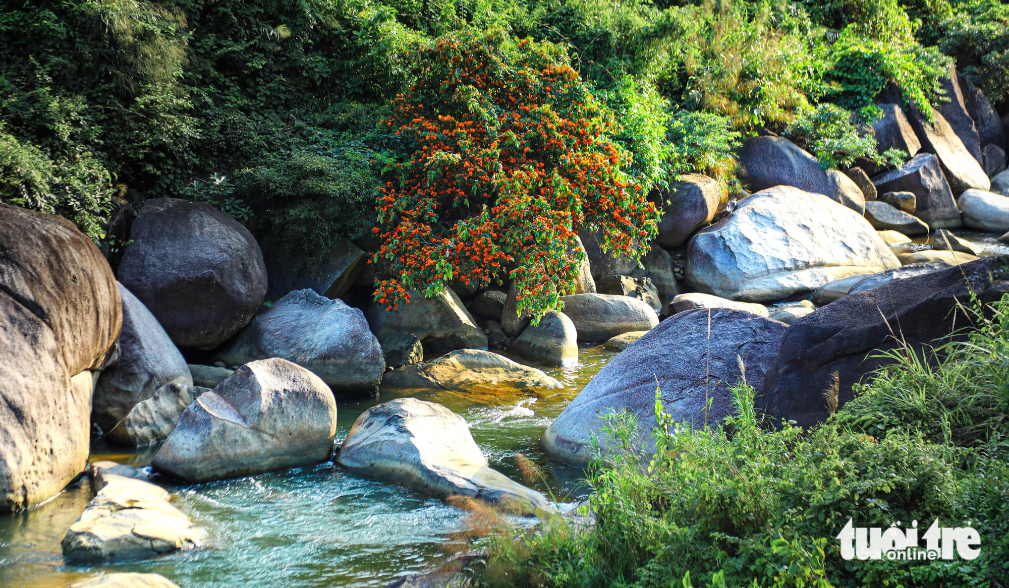 Đà Nẵng - Ảnh 9.