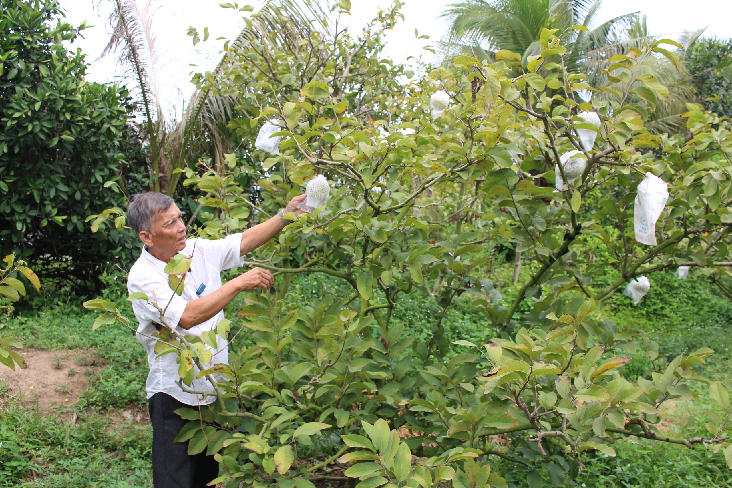 Quỹ hỗ trợ cộng đồng David Dương giúp người dân vươn lên làm giàu - Ảnh 4.