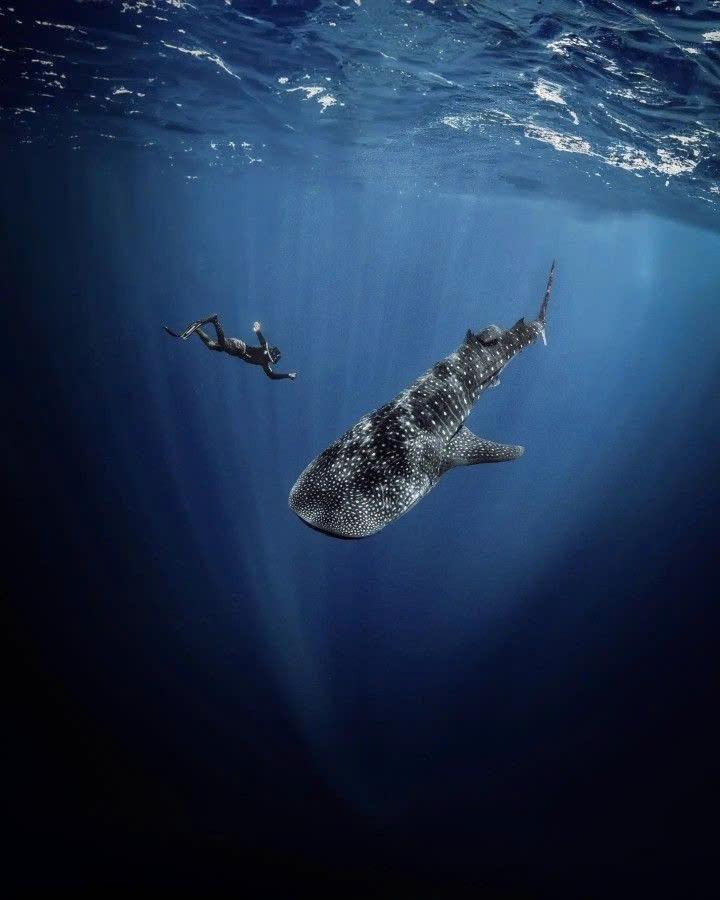 Cebu (Philippines): Khi thiên đường không còn là giấc mơ xa xỉ với du khách Việt- Ảnh 2.