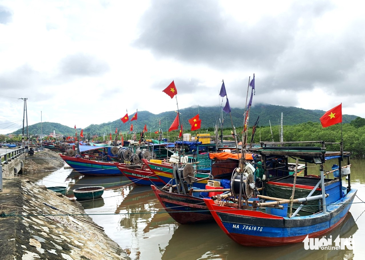 Ngư dân Hà Tĩnh sắp xếp chuyến đi biển để kịp tham gia ngày hội bầu cử - Ảnh 3.