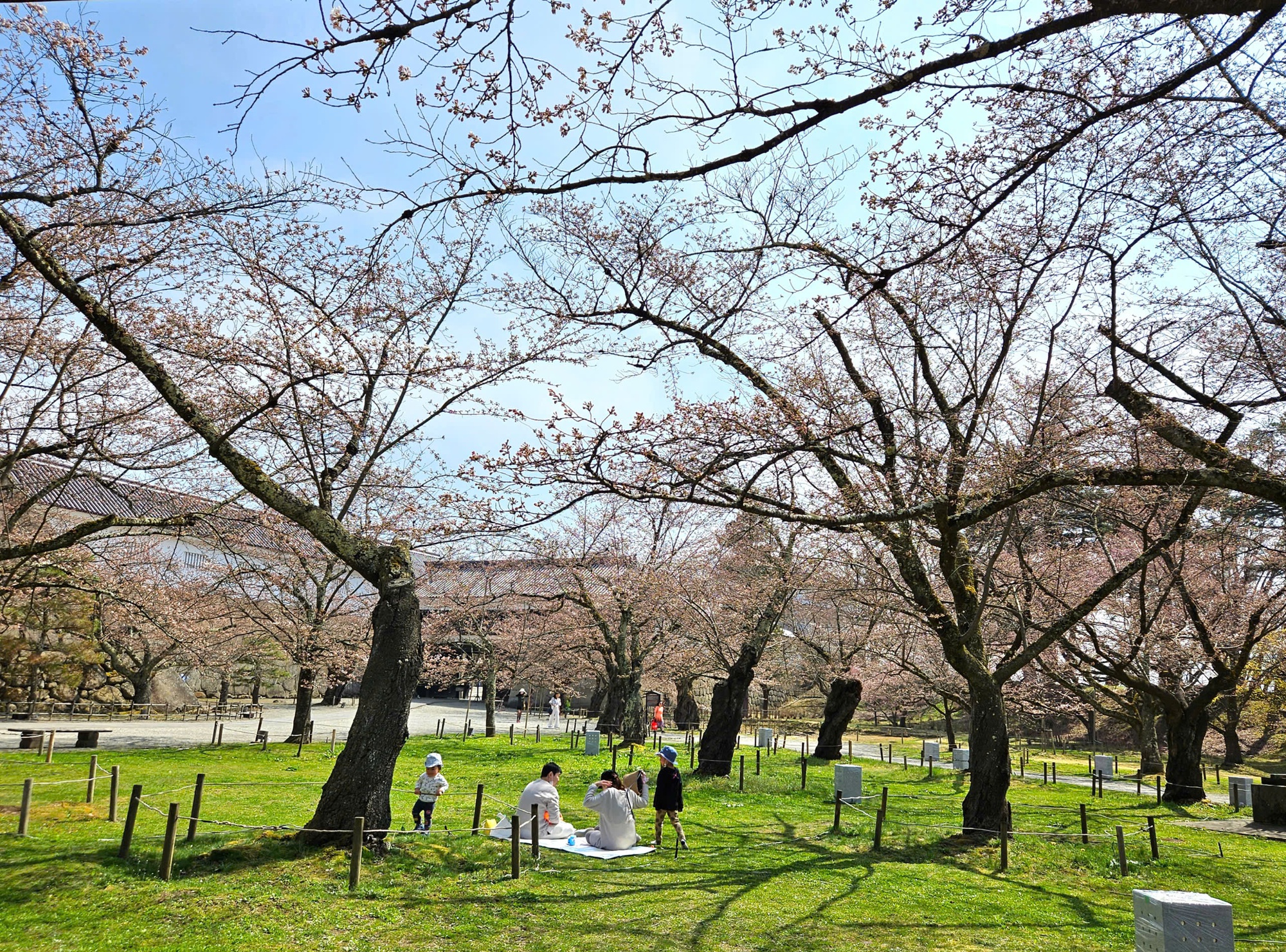 Con số bất ngờ về người Việt đi du lịch Nhật Bản- Ảnh 2.