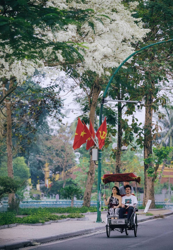 Du khách thích thú ngắm nhìn hoa sưa trên các con phố của Hà Nội. (Ảnh: Nguyen Thuong)