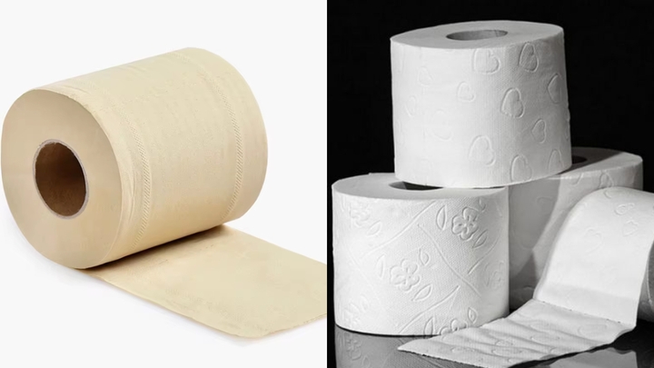 Giấy vệ sinh màu vàng và màu trắng loại nào tốt hơn?- Ảnh 3.